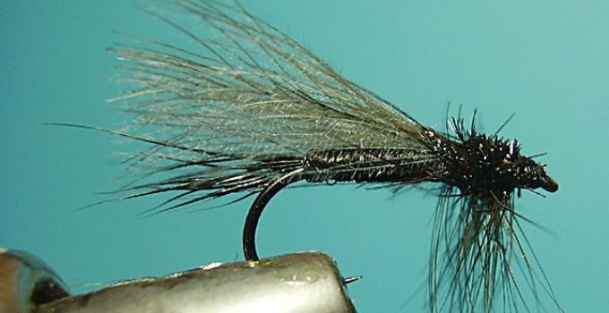 Needle Fly - Kleine Steinfliegen-Imitation, die viel an den Ufern der Glomma vorkommt